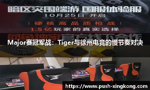 Major赛冠军战：Tiger与徐州电竞的慢节奏对决