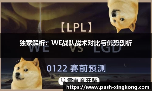 独家解析：WE战队战术对比与优势剖析